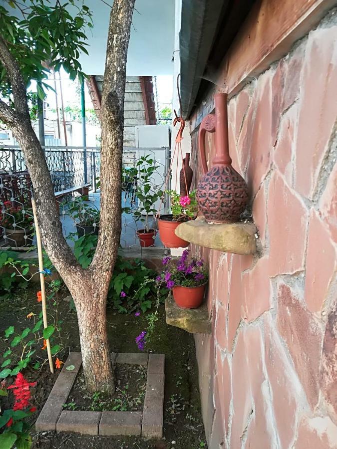 Отель Гостевой дом РУНО Гагра Экстерьер фото